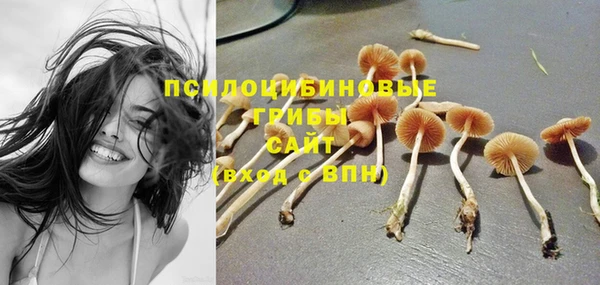 гашик Иннополис