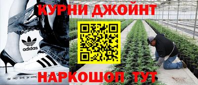 альфа пвп Краснознаменск