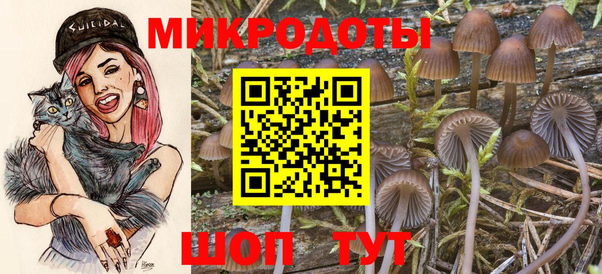 Галлюциногенные грибы ЛСД  Вход с VPN  Котовск 