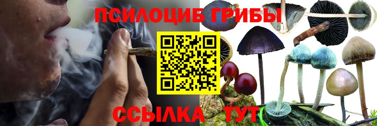 Галлюциногенные грибы MAGIC MUSHROOMS Котовск